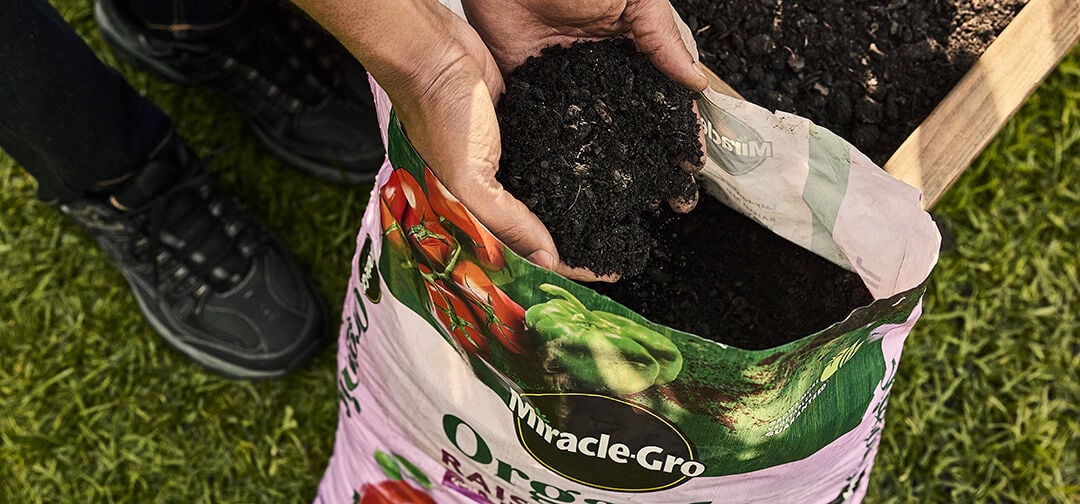 Miracle-gro organic raised bed soil with hands in dirt
