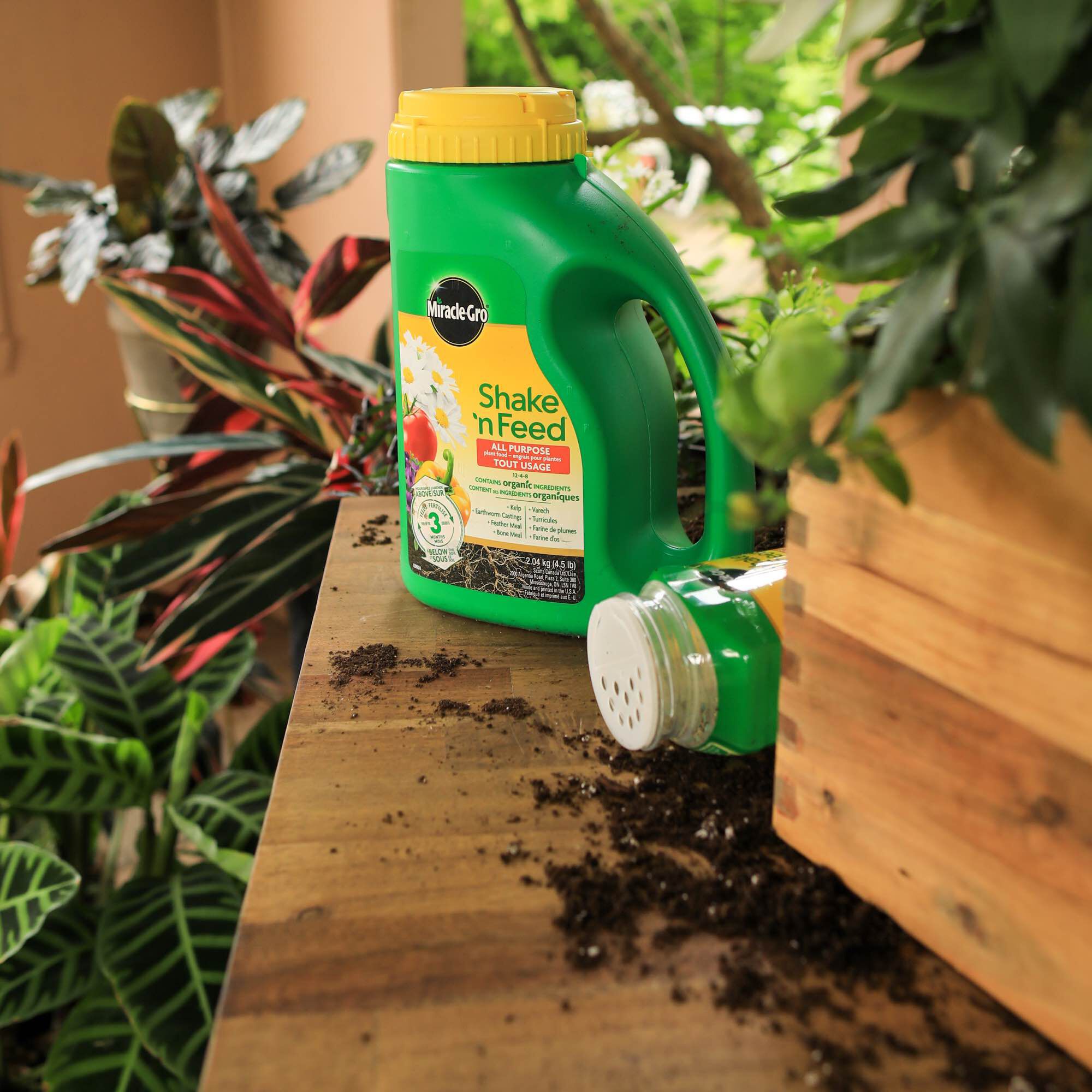 Miracle Gro Shake N Feed All Purpose Plant Food Miracle Gro Canada