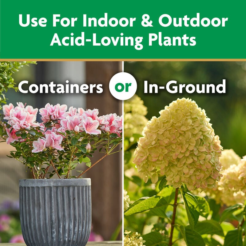 Miracle-Gro® Water Soluble Azalea, Camellia, Rhododendron Plant Food image number null