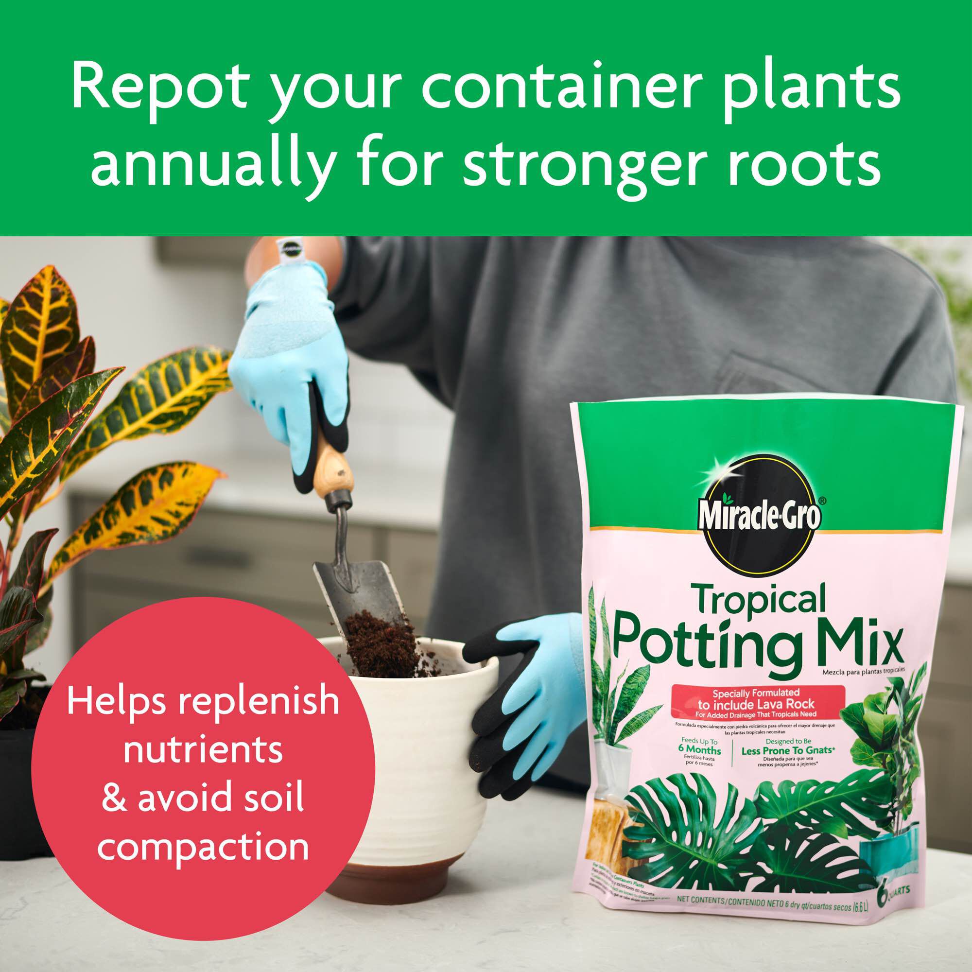 Miracle gro sale indoor potting mix