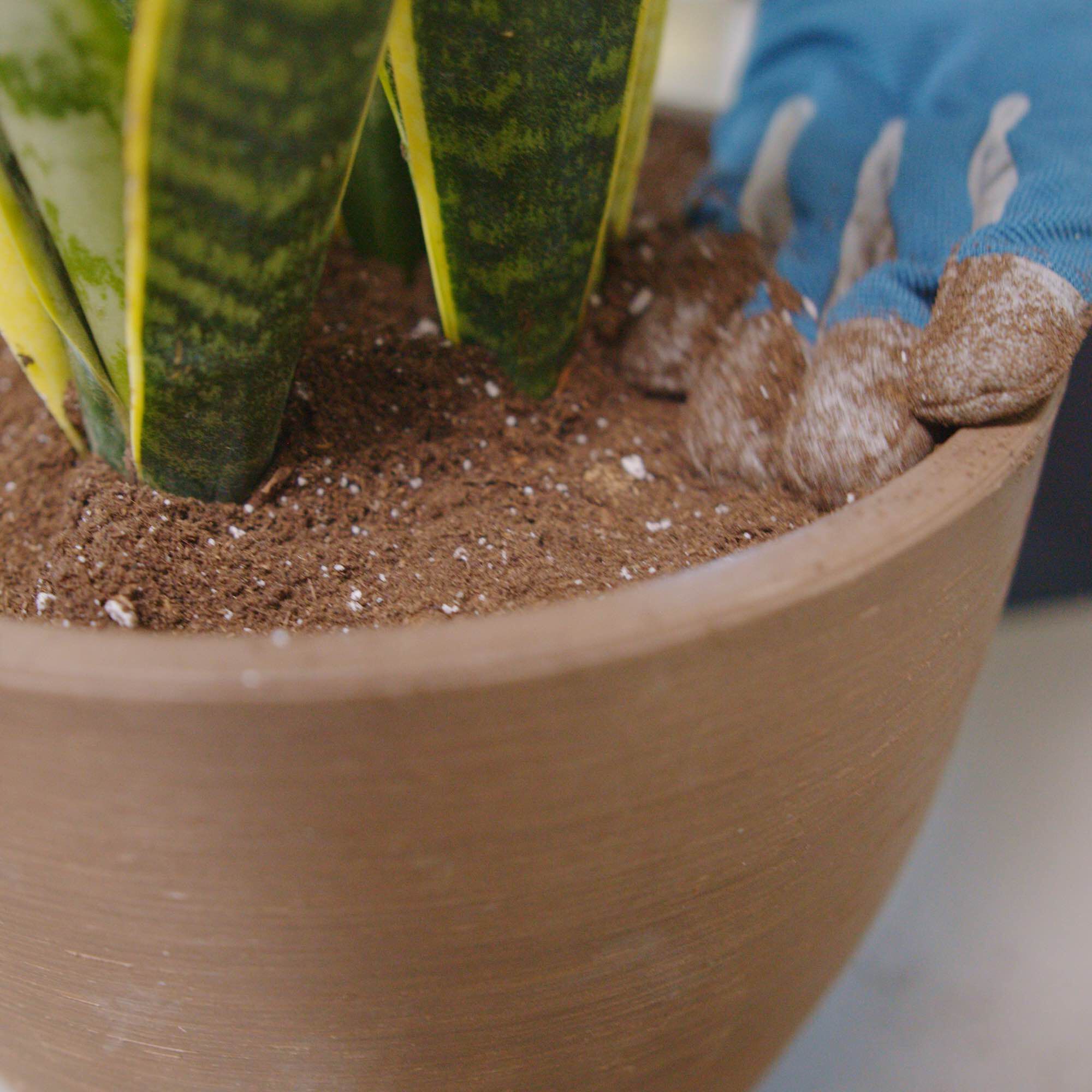 Miracle gro indoor sales potting mix
