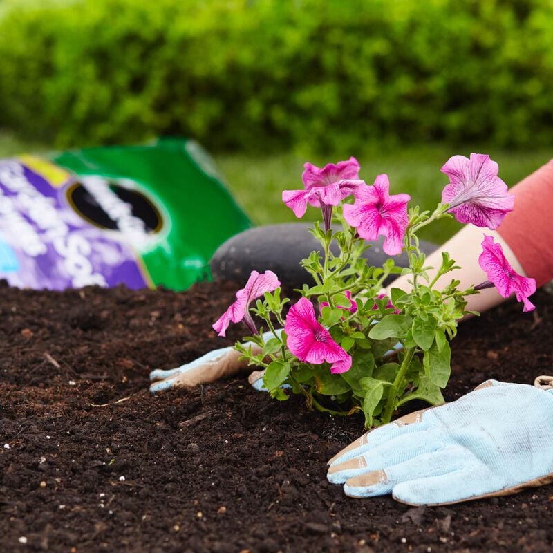 Miracle Gro Garden Soil Flowers image number null