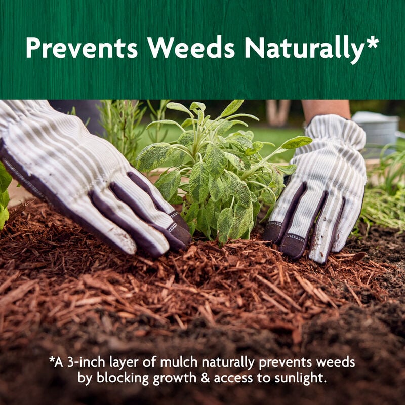 Miracle-Gro Organic™ All Natural Mulch image number null