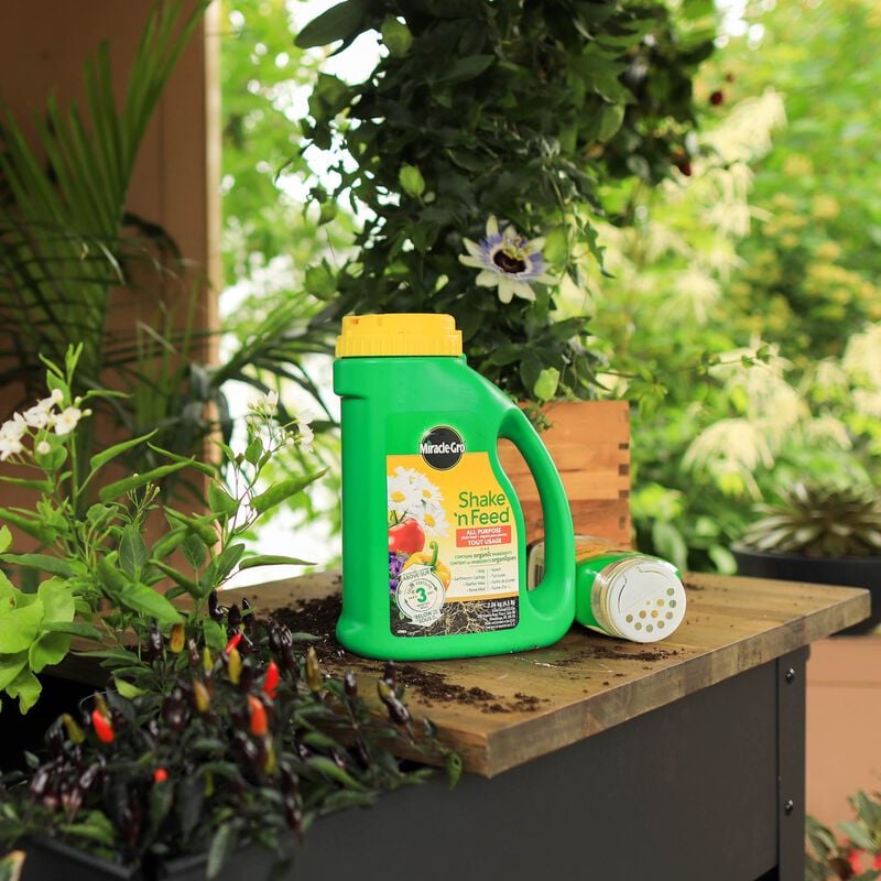 Engrais pour plantes toute usage Miracle-Gro® Shake 'n Feed® image number null