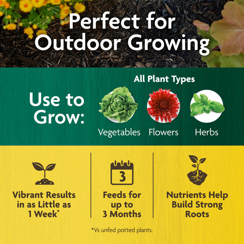 Miracle-Gro Organic™ All Purpose Plant Food image number null