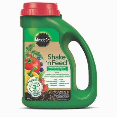 'Miracle-Gro® Shake N Feed engrais pour tomates, fruits et legume