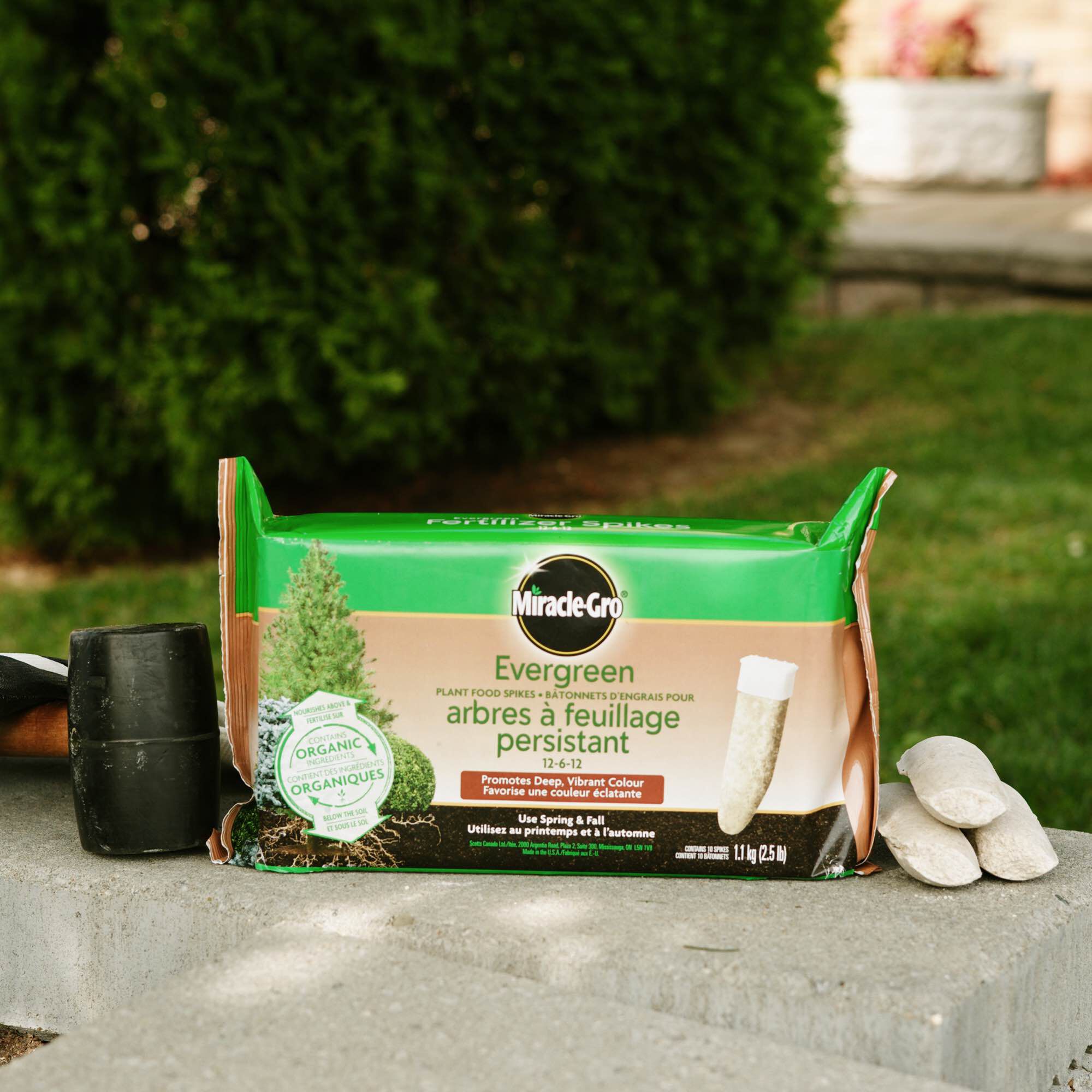Miracle Gro Evergreen Fertilizer Spikes