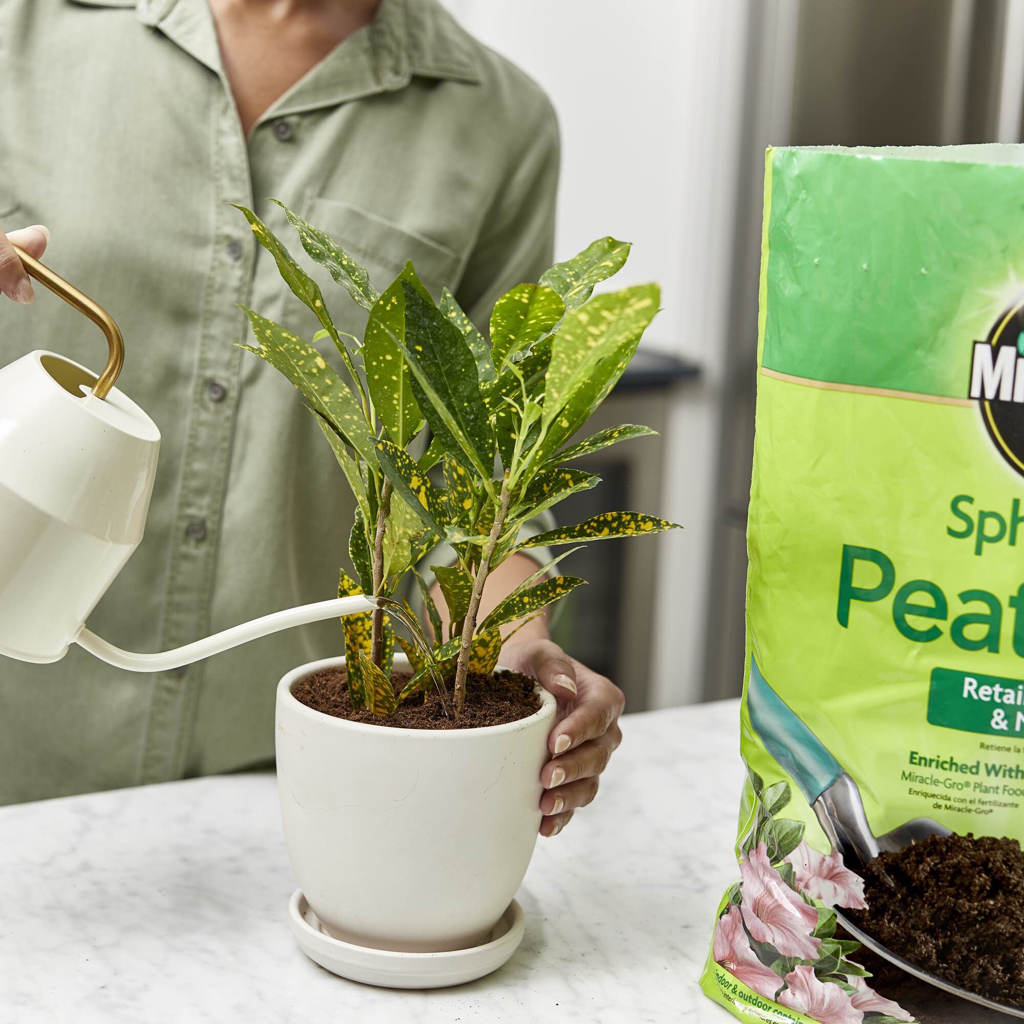 Sphagnum peat moss store