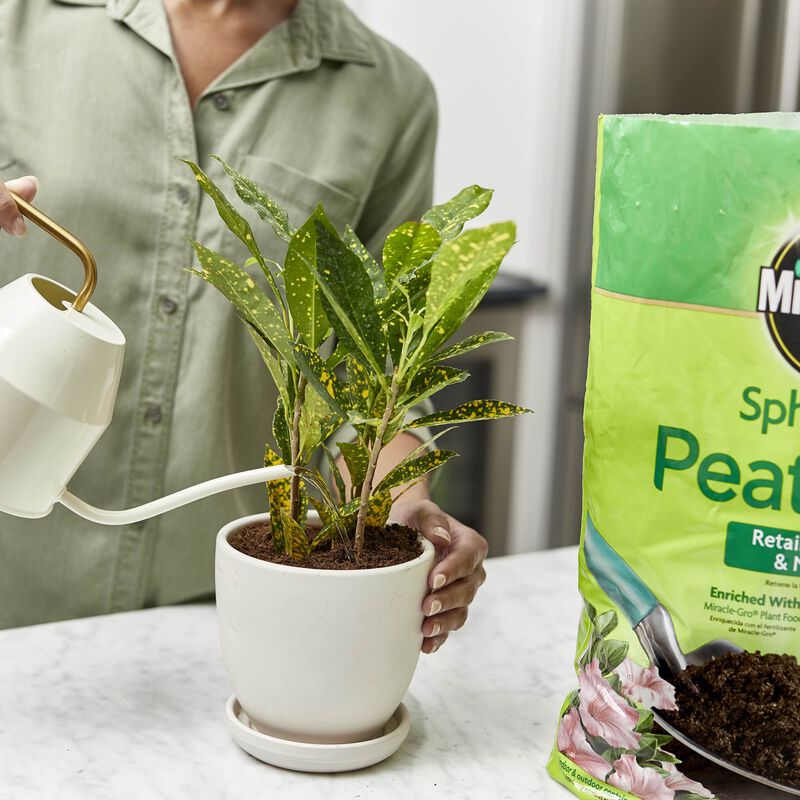 Have a question about Miracle-Gro Sphagnum Peat Moss Soil? - Pg 5 - The  Home Depot