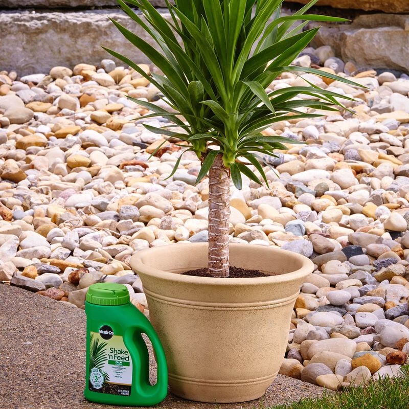 Miracle-Gro® Shake 'N Feed Palm Plant Food image number null