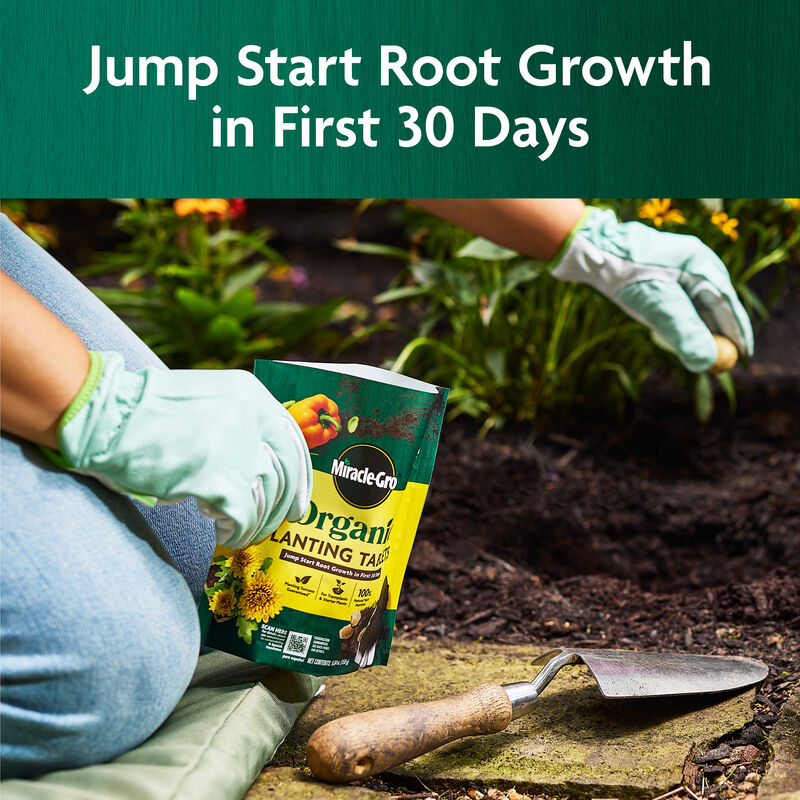 Miracle-Gro Organic™ Planting Tablets image number null