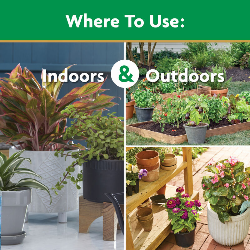 MiracleGro Water Soluble All Purpose Plant Food Miracle Gro