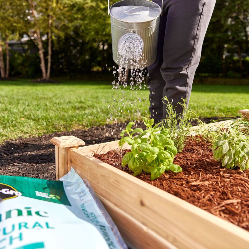 Miracle-Gro® Organic All Natural Mulch image number null