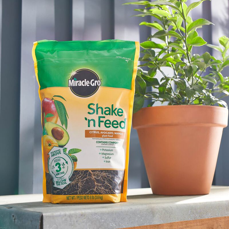 Miracle-Gro® Shake 'n Feed Citrus, Avocado and Mango Plant Food image number null