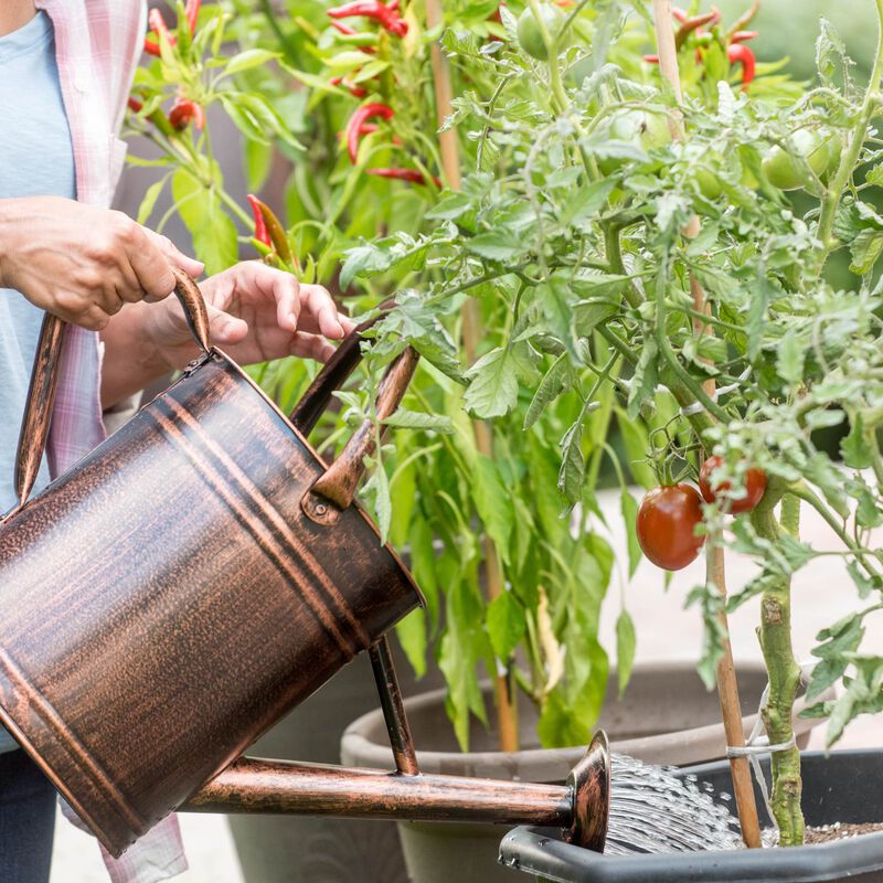 Engrais Hydroponique Universel 2 Bouteilles A+B - Nutriments Plantes Intérieur, Légumes, Fruits, Fleurs