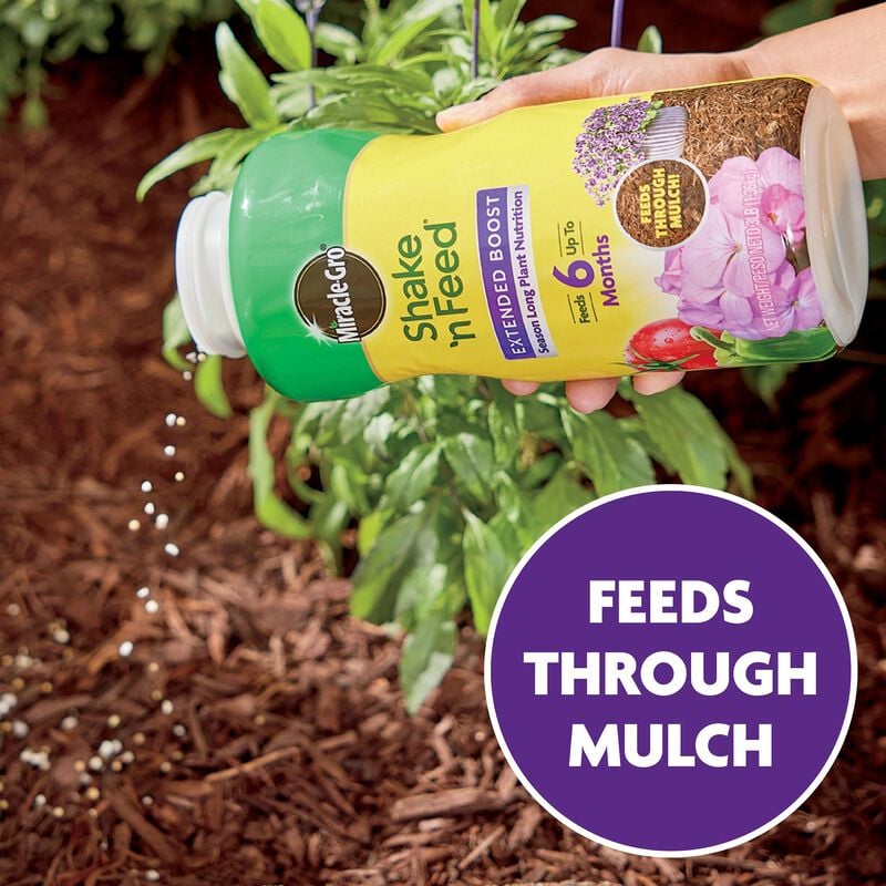 Miracle-Gro® Shake 'n Feed® Extended Boost image number null