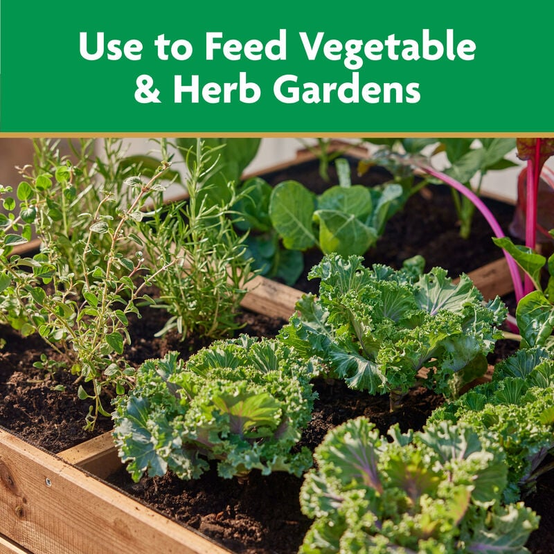 Miracle-Gro® Water Soluble Plant Food Vegetables and Herbs image number null