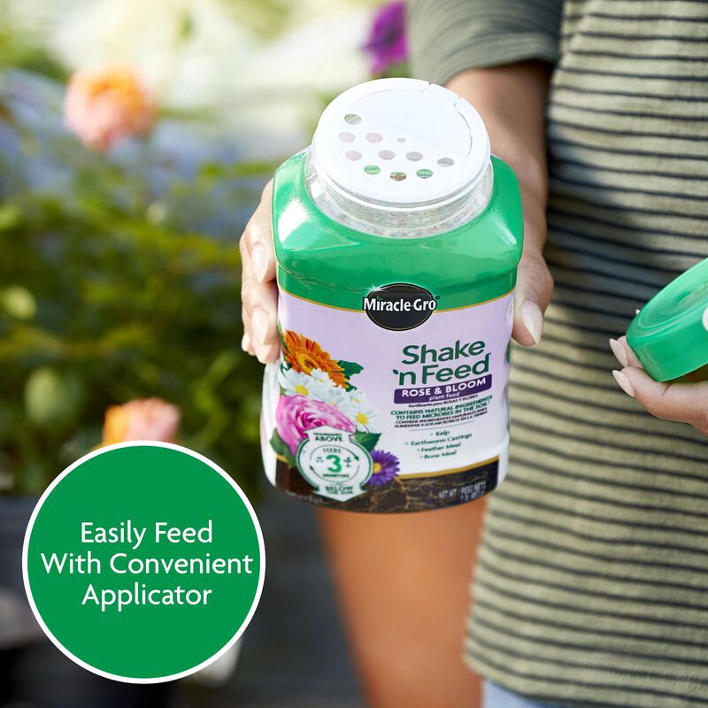 Miracle-Gro® Shake 'n Feed Rose & Bloom Plant Food image number null