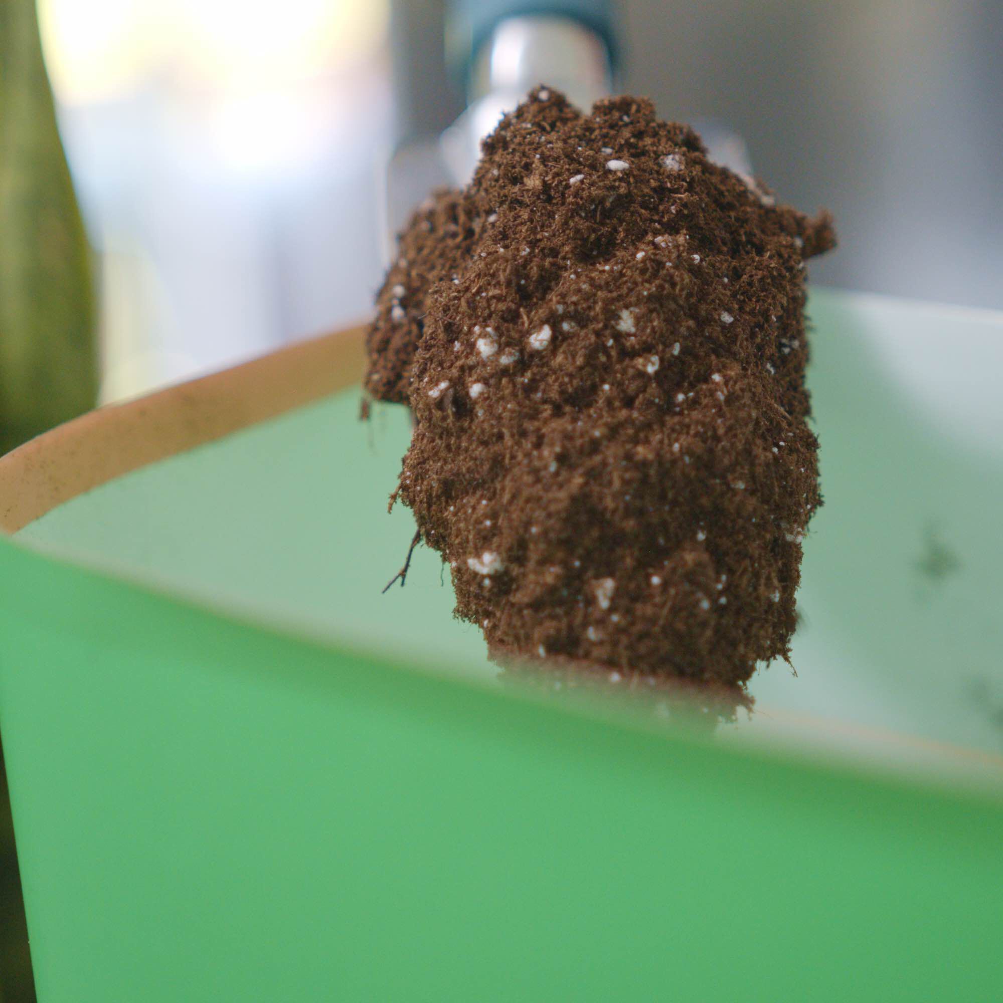 Miracle Gro Indoor Potting Mix