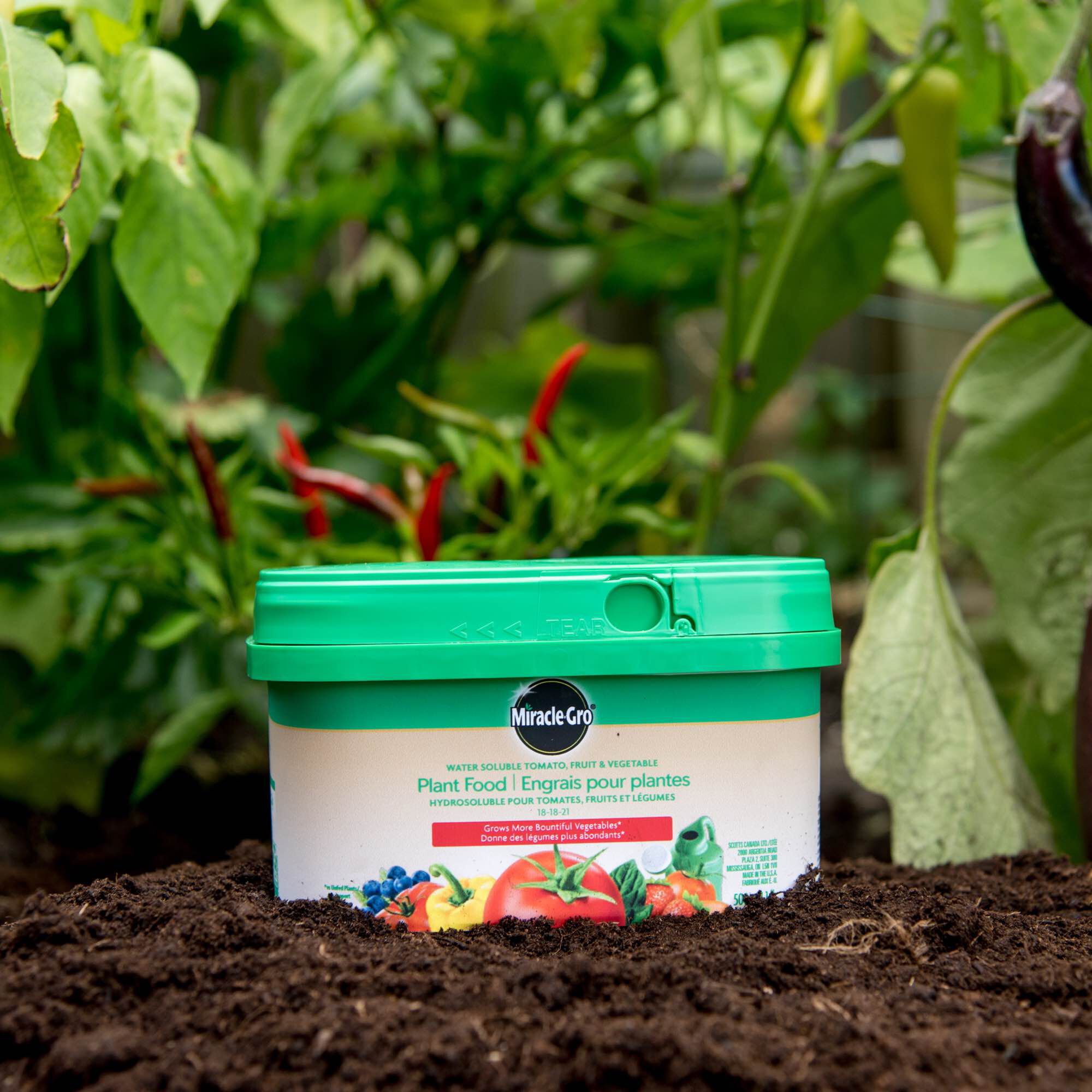 Miracle gro for shop tomatoes