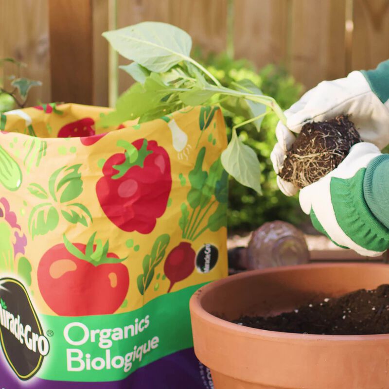 Miracle-Gro® Organics Potting Mix for Vegetables & Herbs image number null