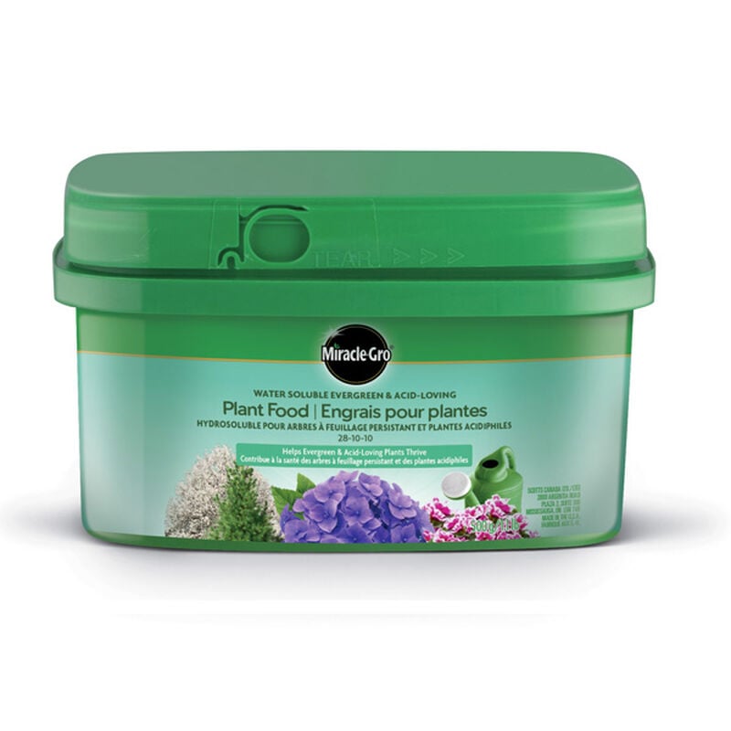 Engrais soluble dans l'eau pour plantes à feuilles persistantes et aux acides Miracle-Gro® image number null