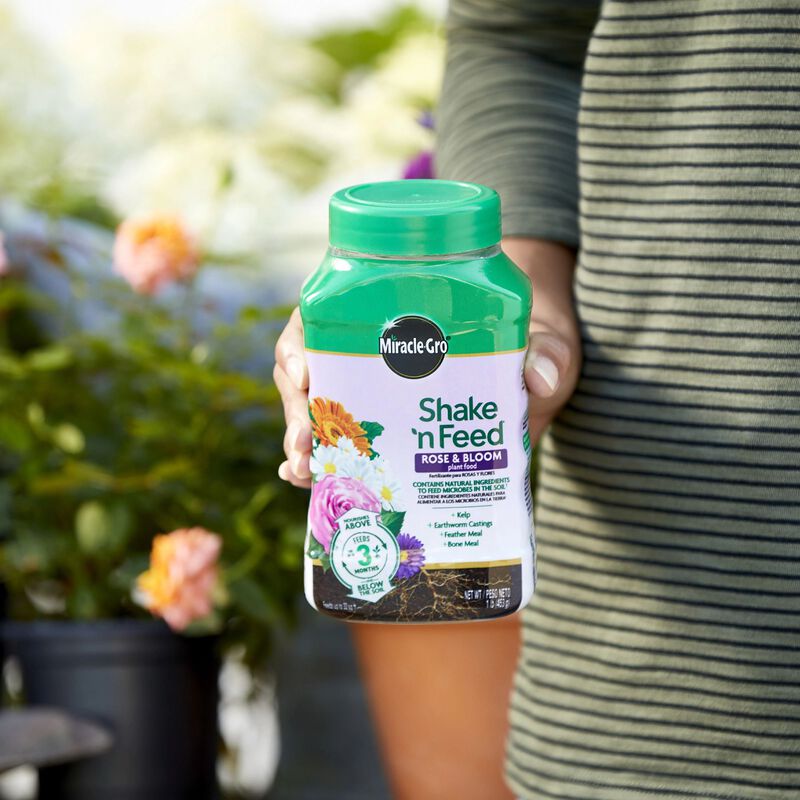 Miracle-Gro® Shake 'n Feed Rose & Bloom Plant Food image number null