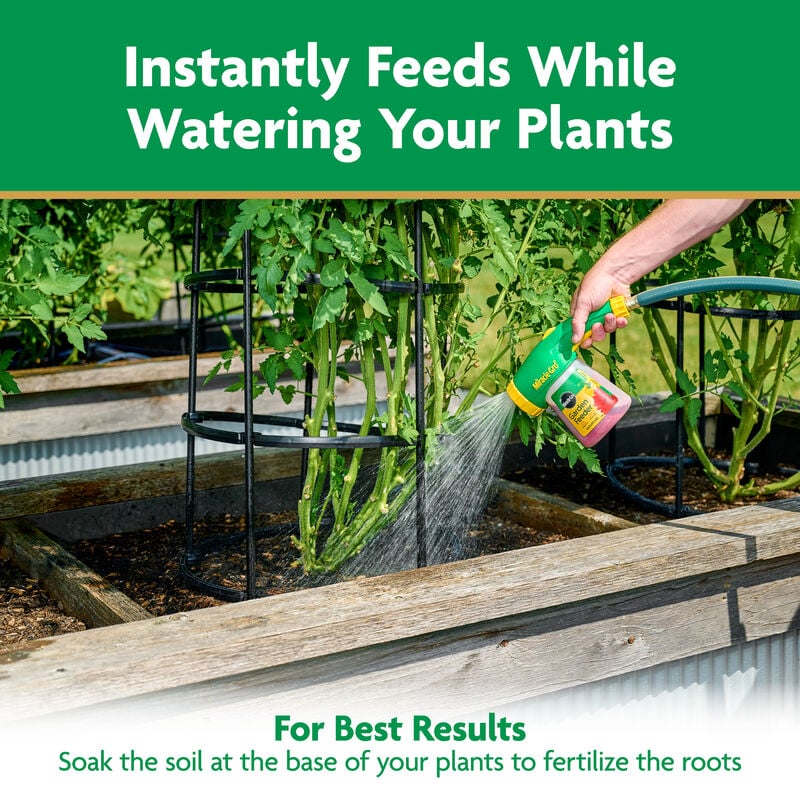 Miracle-Gro® Water Soluble Tomato Plant Food image number null