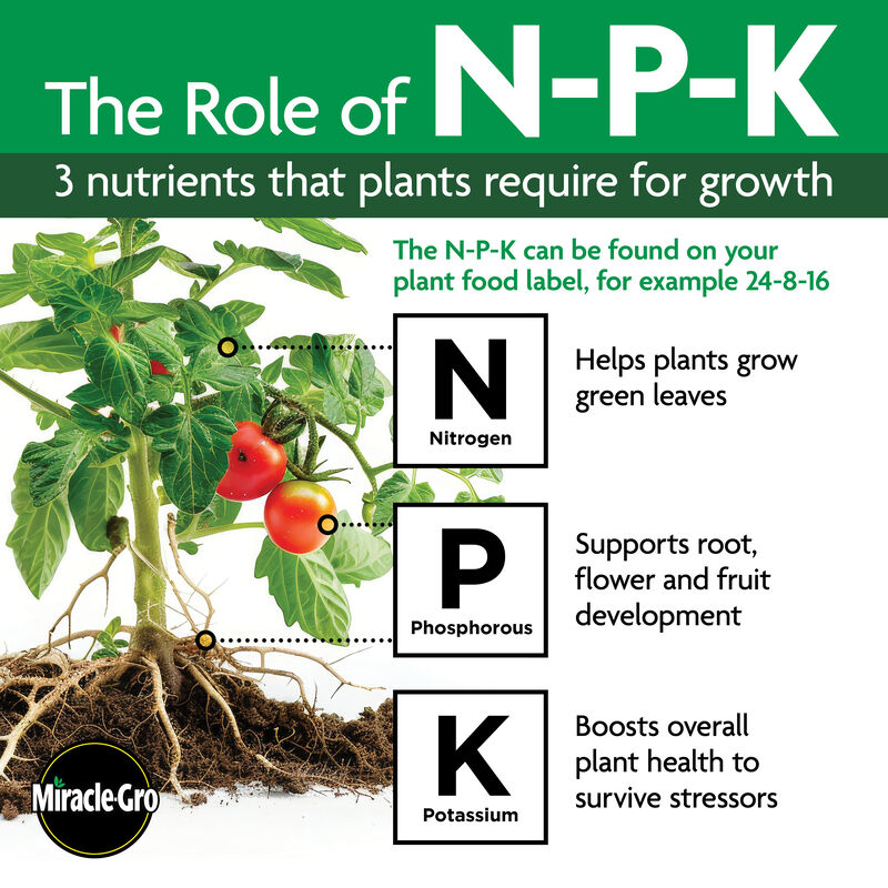 Miracle-Gro Organic™ Planting Tablets image number null