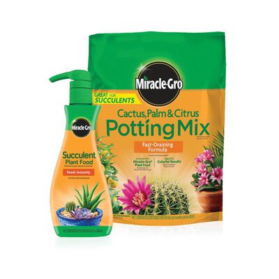 Miracle-Gro® Cactus, Palm & Citrus Potting Mix and Miracle-Gro® Succulent Plant Food