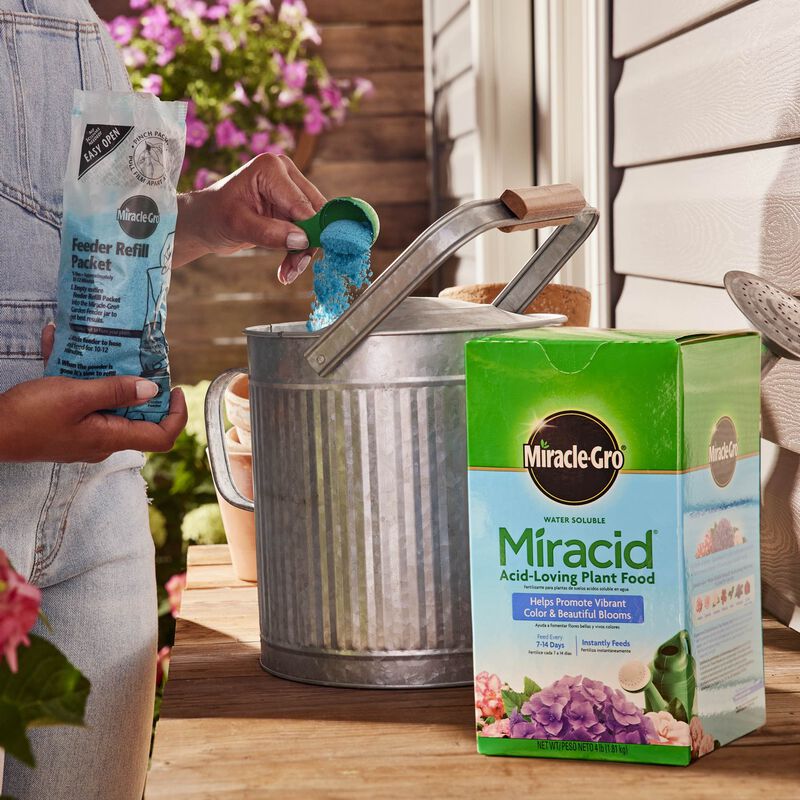 miracle-gro-water-soluble-miracid-acid-loving-plant-food-miracle-gro