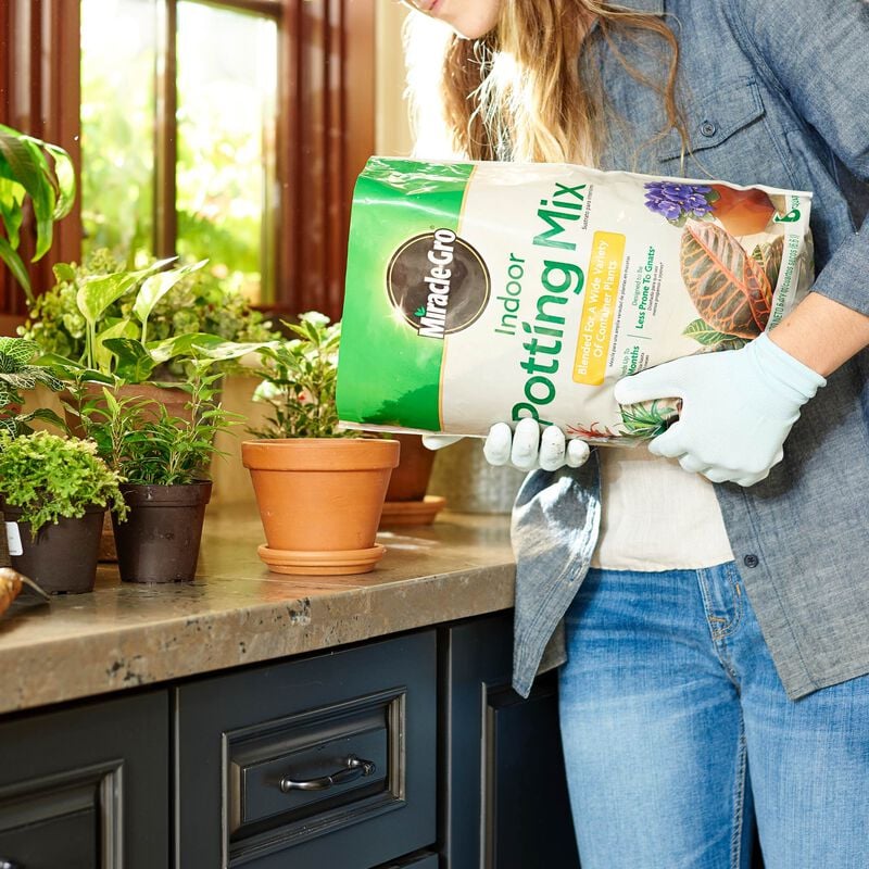 Miracle-Gro® Indoor Potting Mix, Miracle-Gro® Indoor Plant Food, and Miracle-Gro® Leaf Shine image number null