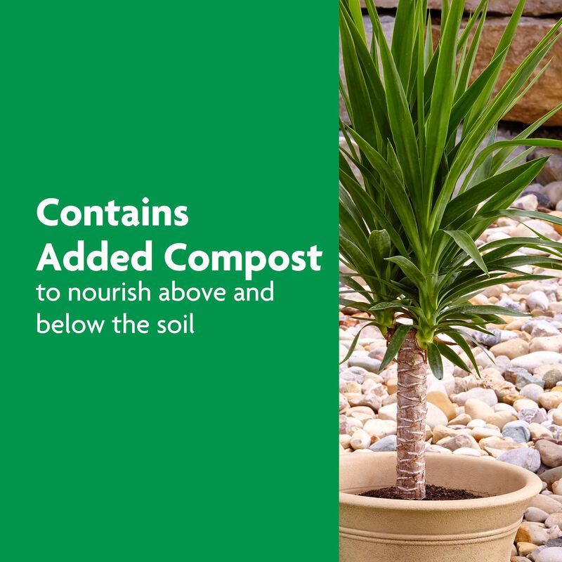 Miracle-Gro® Shake 'N Feed Palm Plant Food image number null
