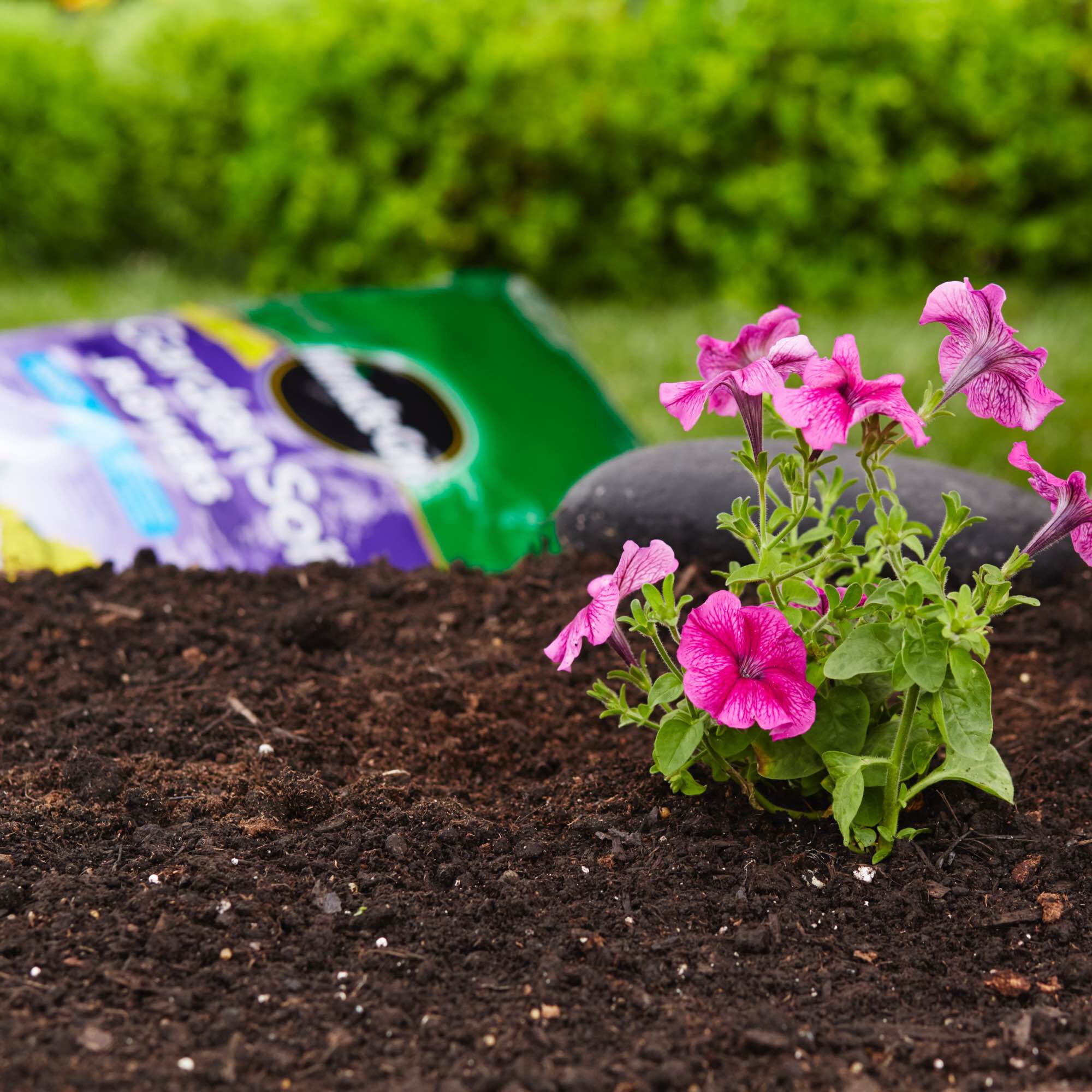Flower soil clearance