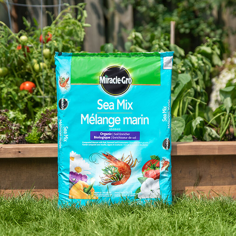 Miracle-Gro® Mélange Marin image number null