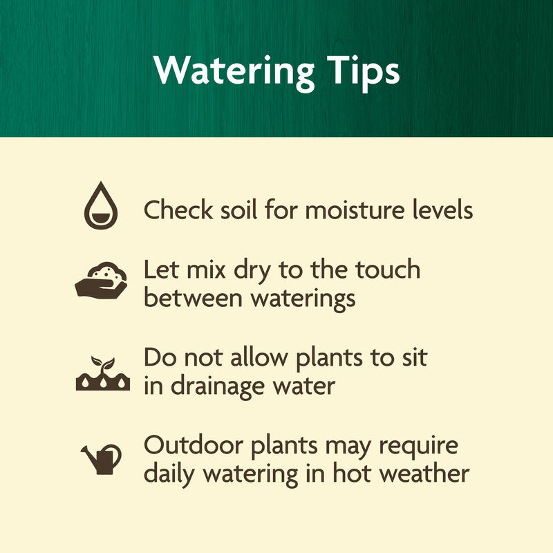 Miracle-Gro Organic™ Planting Tablets image number null