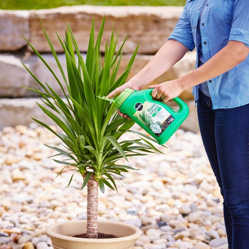 Miracle-Gro® Shake 'N Feed Palm Plant Food image number null