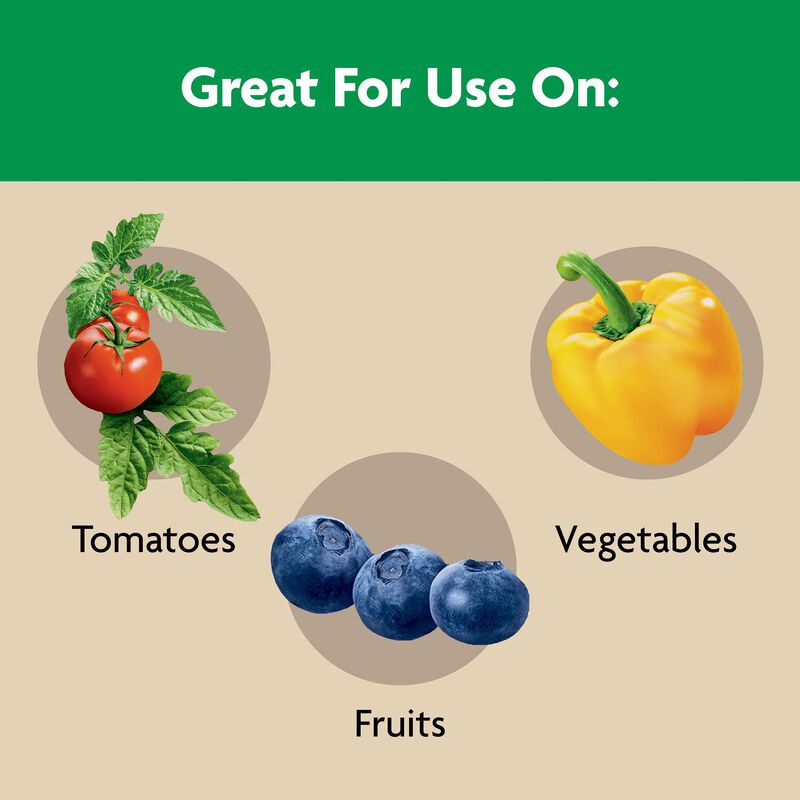 Miracle-Gro® Shake 'N Feed Tomato, Fruit & Vegetable Plant Food image number null
