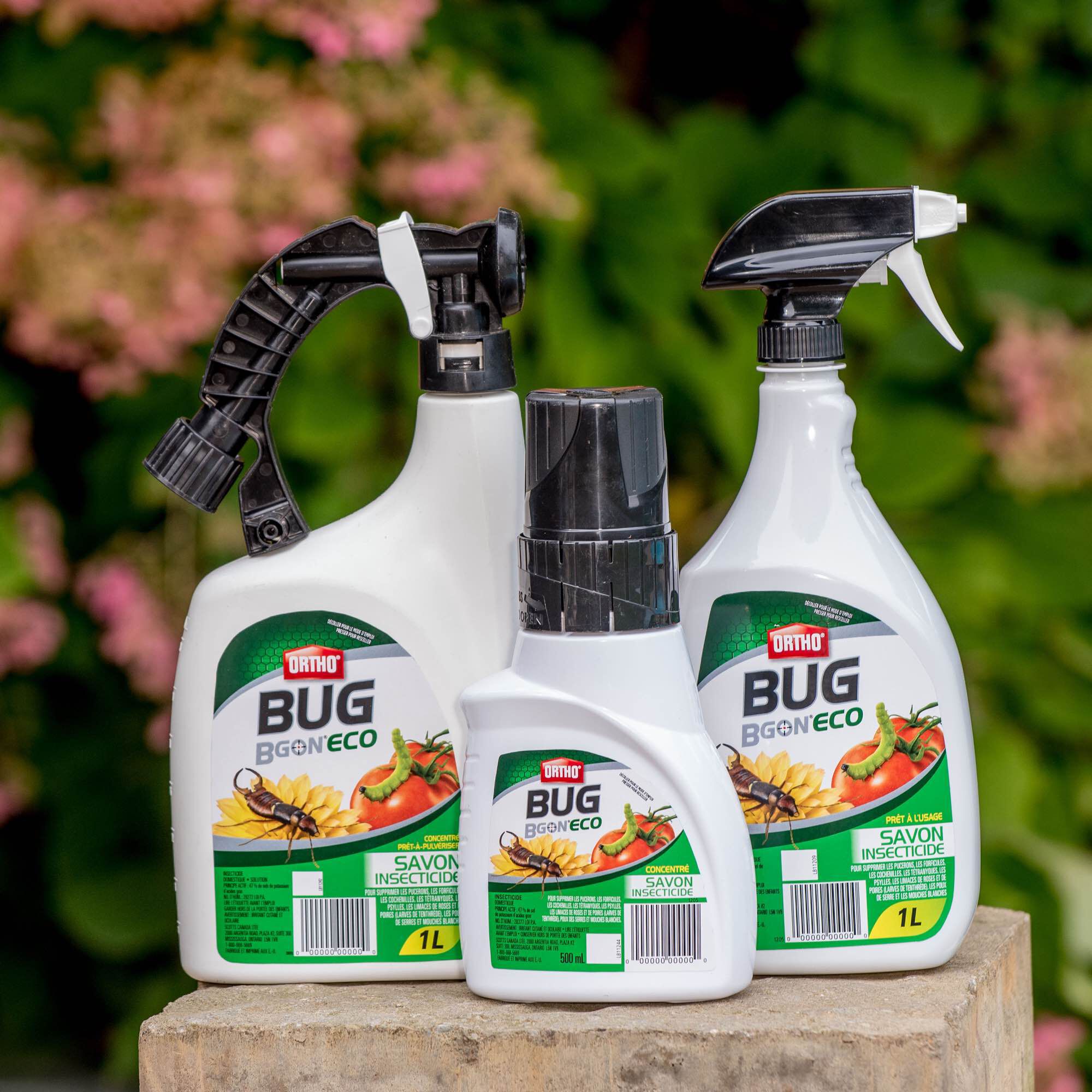 Bug on sale b gon