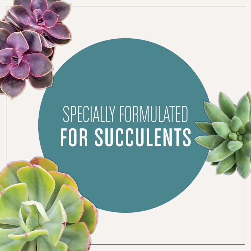 Miracle-Gro® Succulent Potting Mix image number null