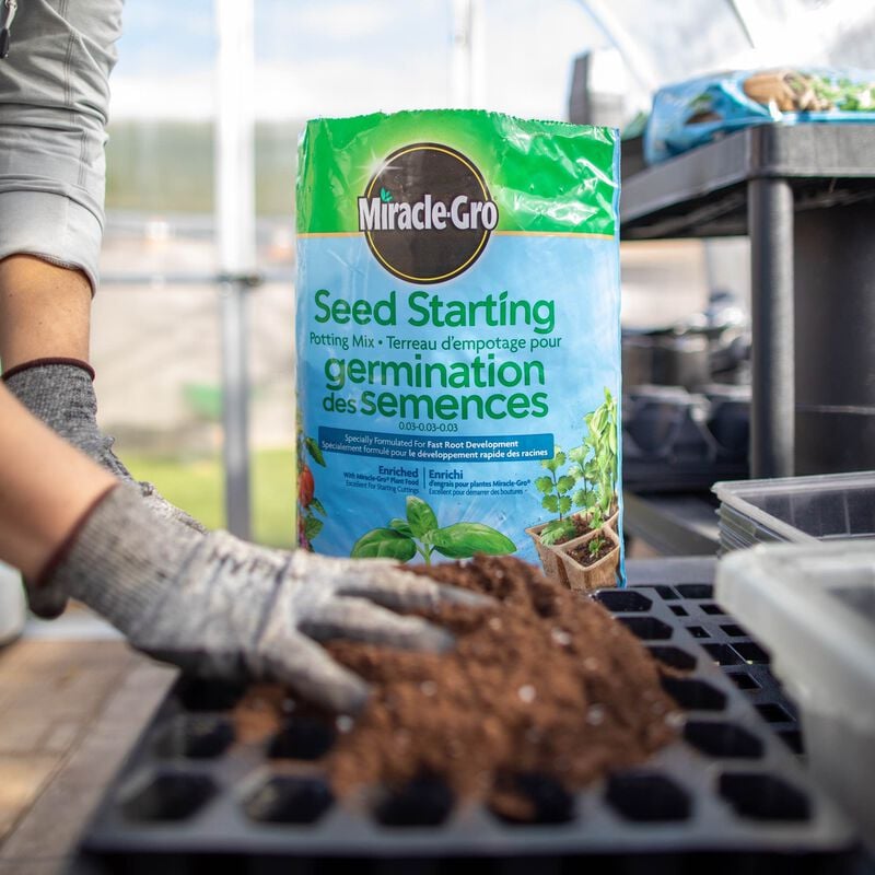 Miracle-Gro® Seed Starting Potting Mix image number null