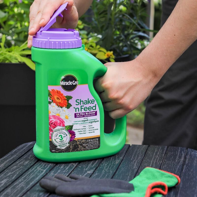 Engrais Pour Plantes Ultra Bloom Miracle-Gro® Shake 'N Feed image number null