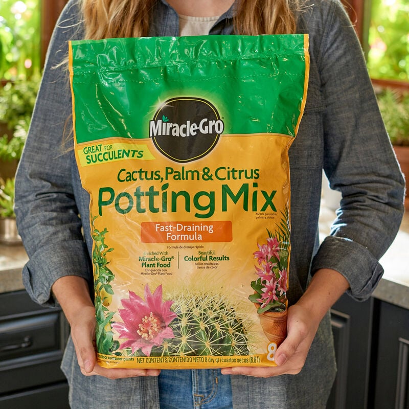 Miracle-Gro® Cactus, Palm & Citrus Potting Mix image number null
