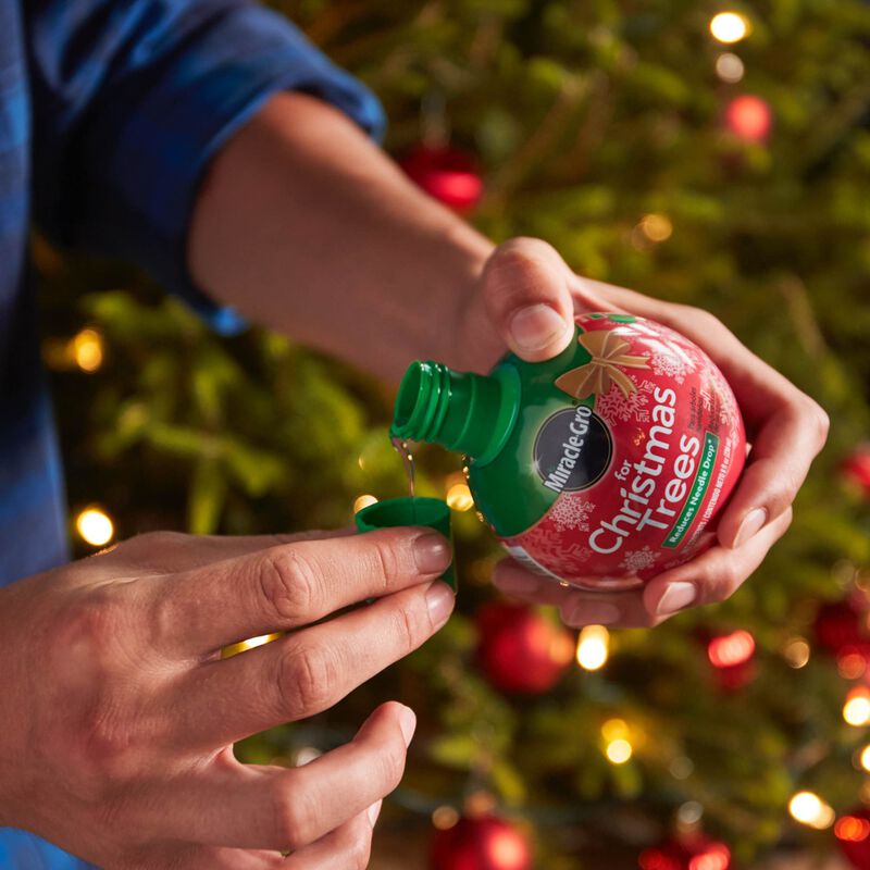 Miracle-Gro® For Christmas Trees image number null