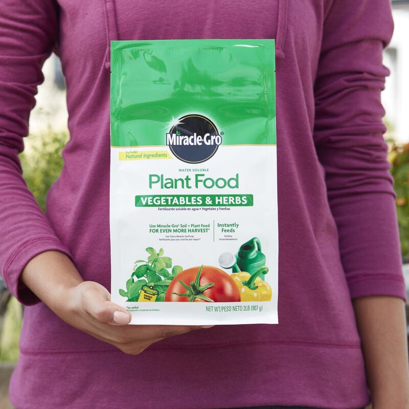 Miracle-Gro® Water Soluble Plant Food Vegetables and Herbs image number null
