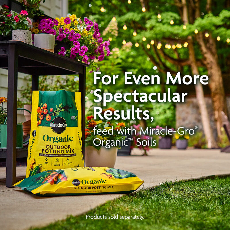 Miracle-Gro Organic™ Plant Food image number null