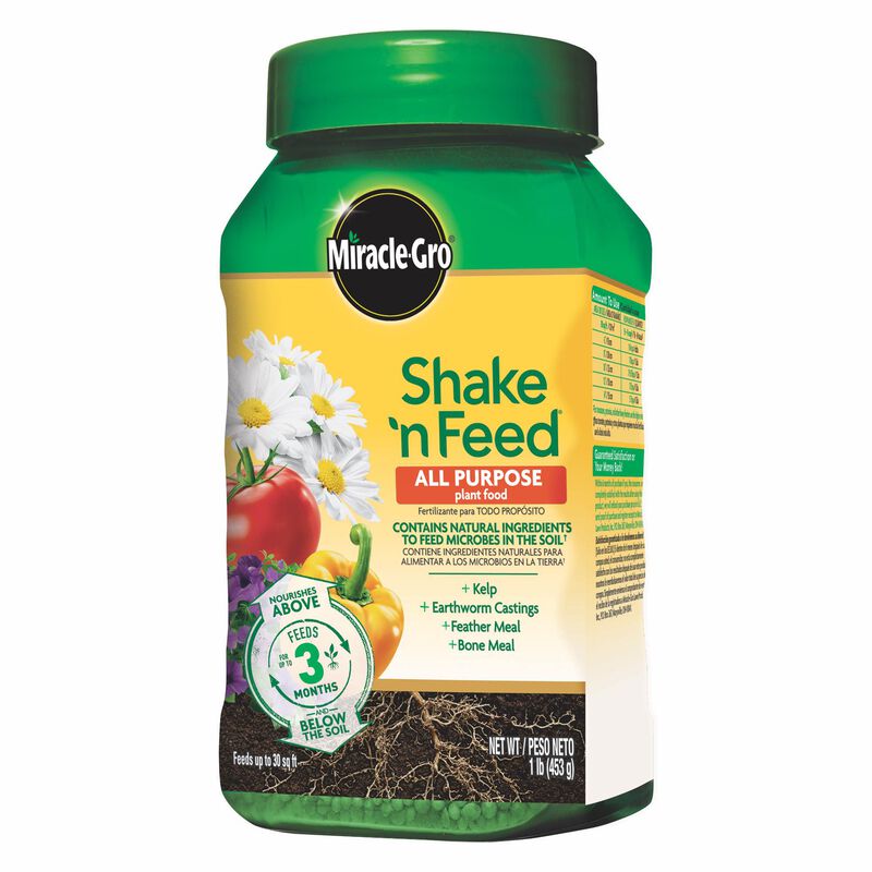 Miracle-Gro® Shake 'N Feed All Purpose Plant Food with Universal Snap-On Feeder image number null