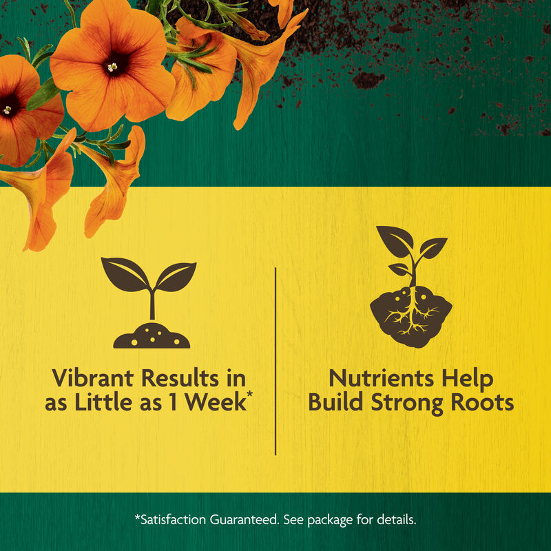 Miracle-Gro Organic™ All Purpose Plant Food image number null