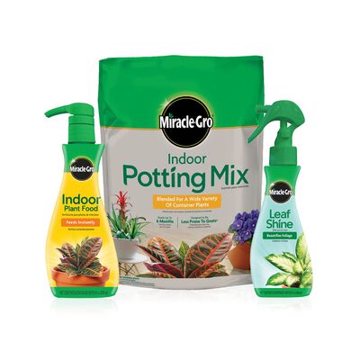Miracle-Gro® Indoor Potting Mix, Miracle-Gro® Indoor Plant Food, and Miracle-Gro® Leaf Shine
