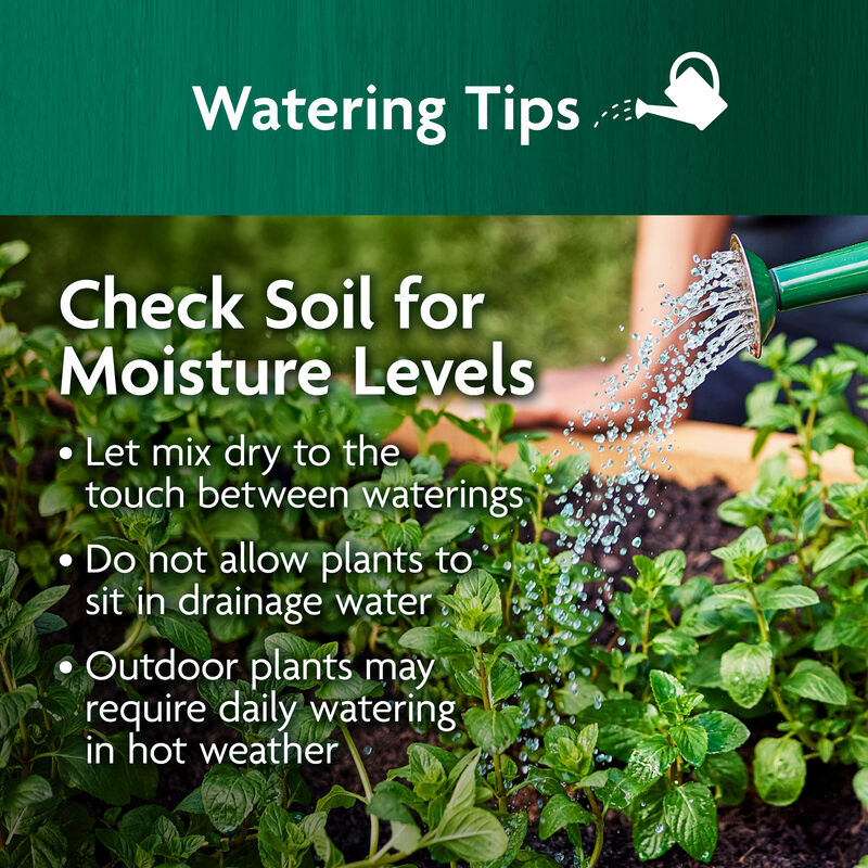 Miracle-Gro Organic™ Raised Bed Soil image number null